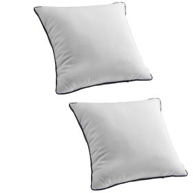 20 x 20 in Throw Pillow Inserts, Set of 2, Firm and Fluffy Decorative Down Alternative Pillows with Polyester Fiber, Square White Cushion with Zi
